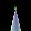 Peter Gabriel CDs