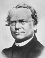 Gregor Mendel