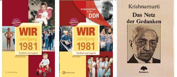 1981 Literatur