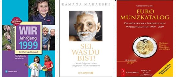 1999 Literatur