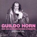 Guildo Horn Biografie