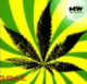 Geschichte der Reggae